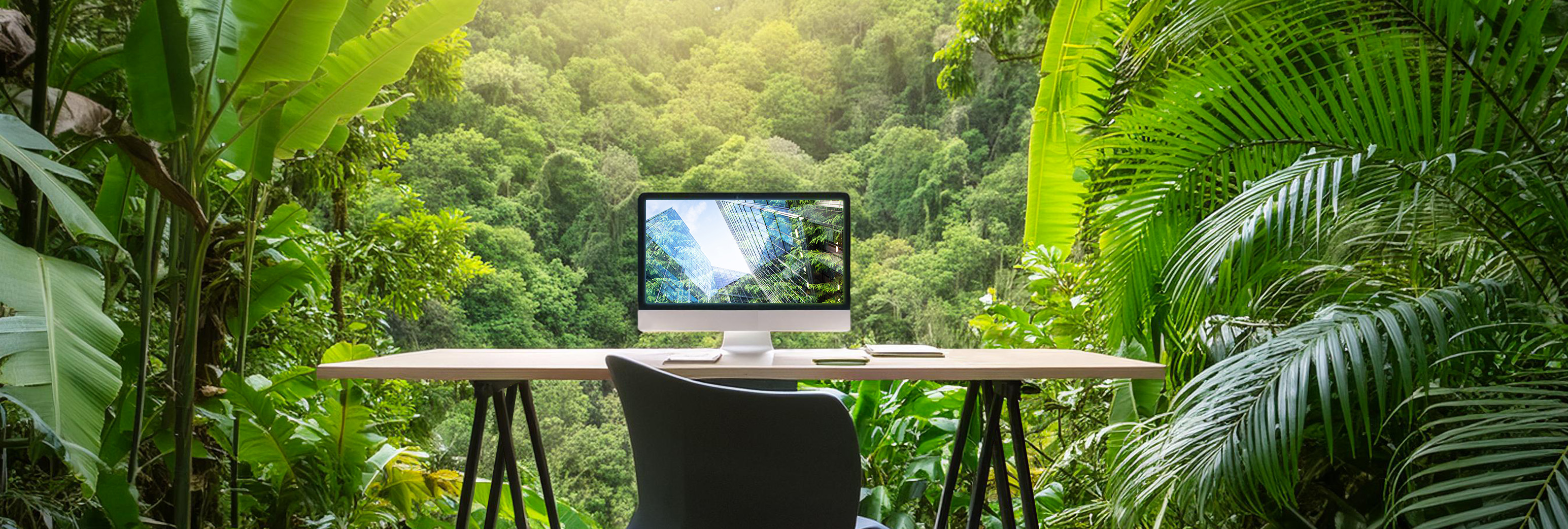 Les engagements de Belta pour les années à venir