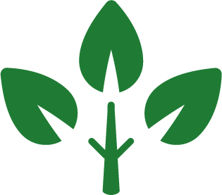 Impact environnemental