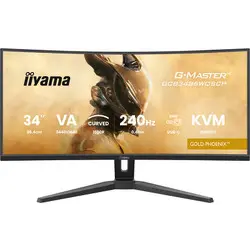 ECRAN INCURVÉ IIYAMA